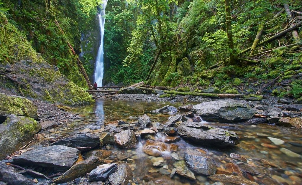 the Goldstream Provincial Park in Victoria with a waterfall, stream, and lush greenery on both sides