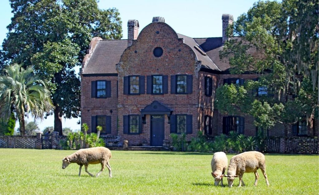 Middleton Place plantation home in Charleston South Carolina with sheep in the foreground