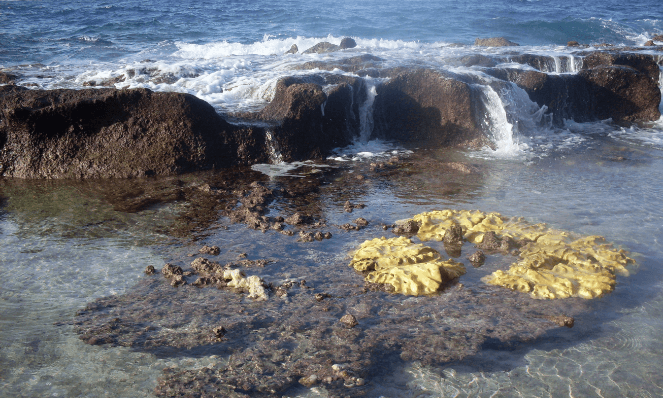 The coral and rocks with water splashing over them at Ethel Beach on Christmas Island