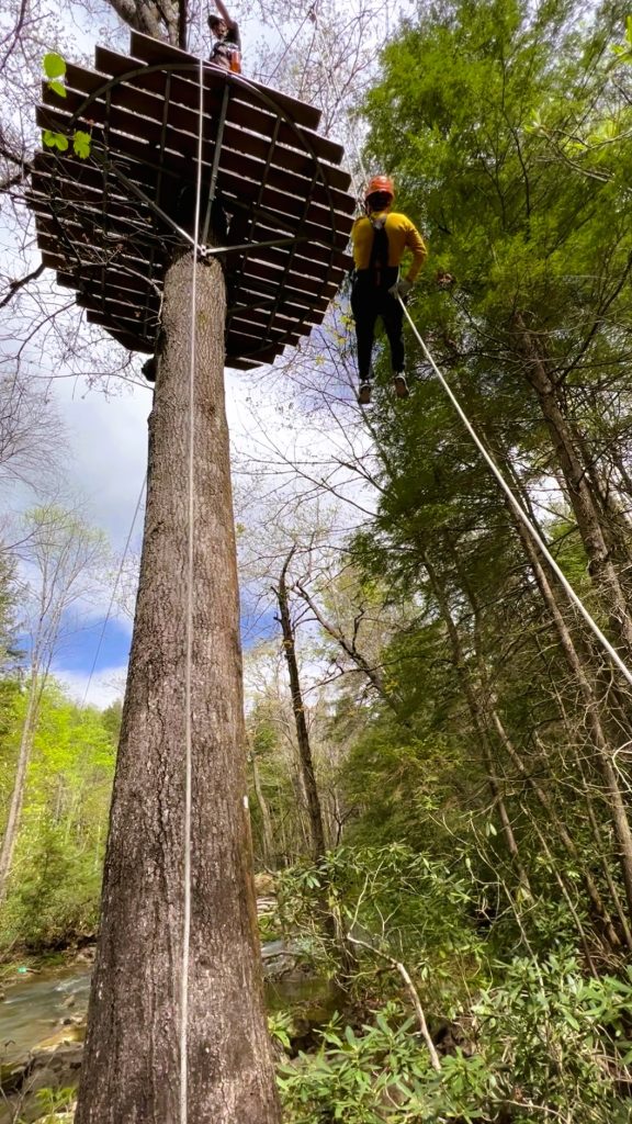  Writer Jo Clark rapelling at New River Gorge with large trees  © Jo Clark