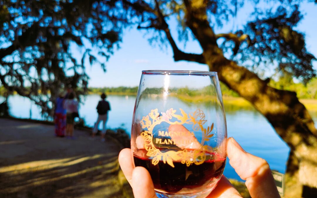 Magnolia Plantation and Gardens for Private Evening Wine Strolls