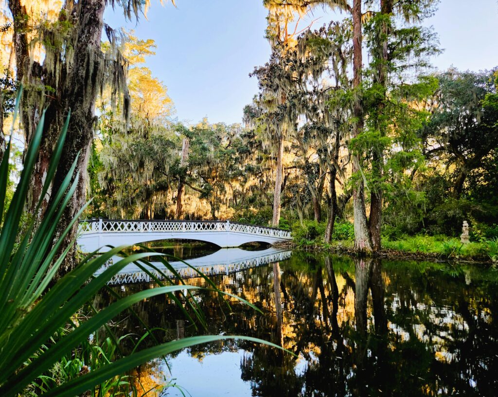 The most recognizable icon of Magnolia Plantation is the 1841 Long White Bridge, with its lovely white criss-crossed sides, and triple-arched base.