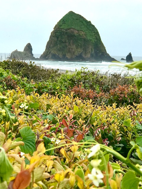 On of the Best Things in Cannon Beach is the view of iconic Haystack Rock which is a massive intertidal monolith