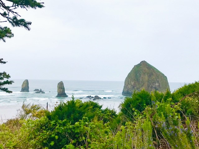 One of the best things in Cannon Beach is exploring around sea stacks and Haystack Rock that lie just offshore