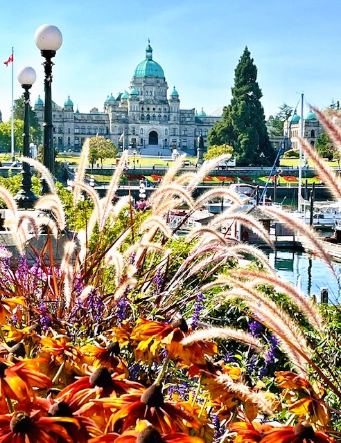 Victoria Inner Harbour and the Parliament Buildings in background; flowers and grasses in foreground