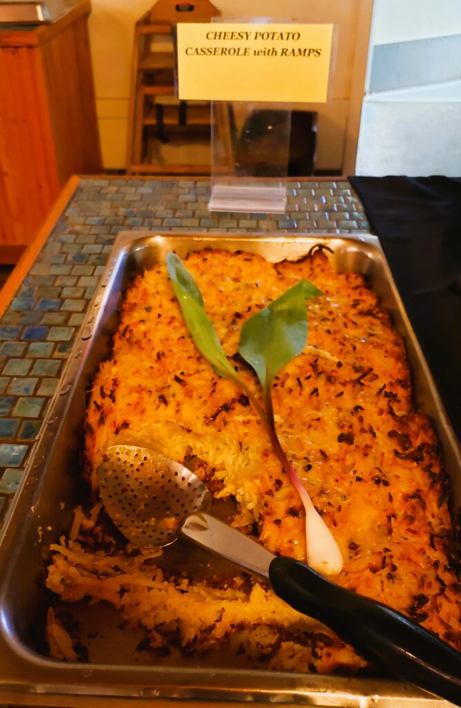 casserole in serving pan of cheesey potatoes and ramps topped with a raw ramp on top