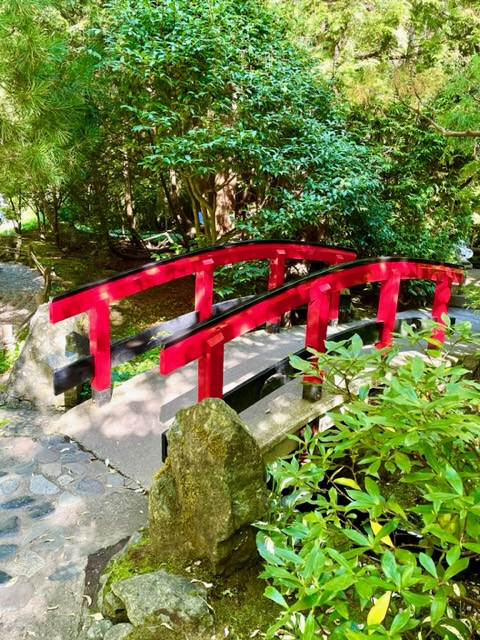 Red bridge in Japanese garden