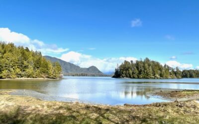 Tofino Will Make You Fall in Love With Vancouver Island