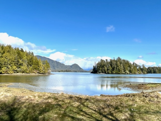 Bird sanctuary surrounding a lake. Evergreens cover an island, mountains rising in background.