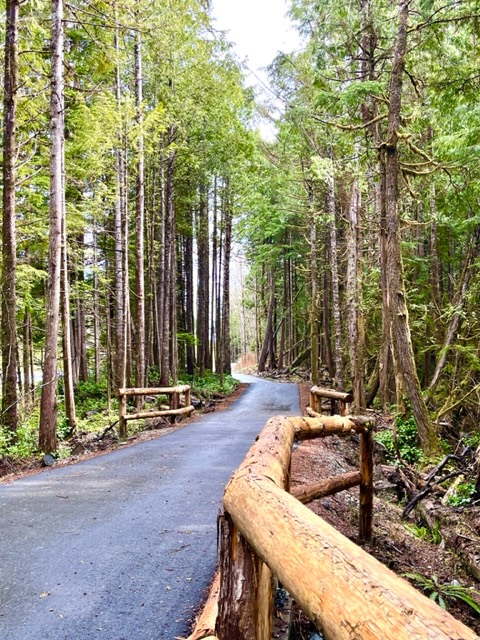 paved off-road bike path through old-growth forest woodlands, with natural railings on the sides of the trail