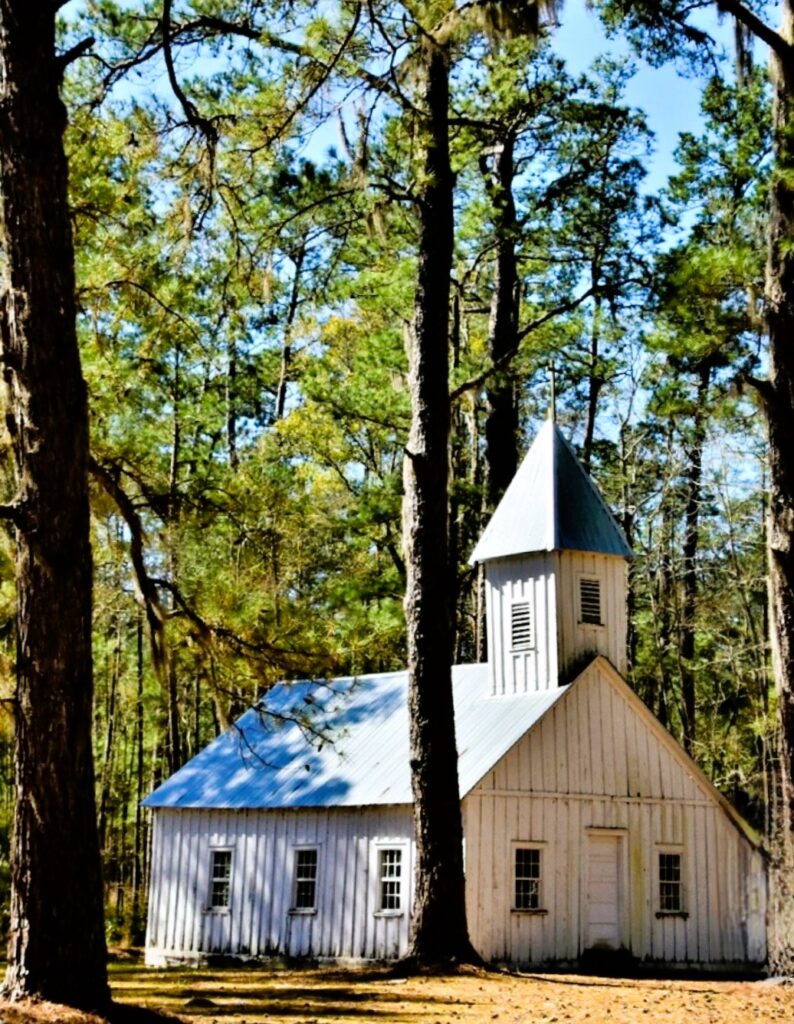 Old white chapel in the pines, with a tin roof on the Hobcaw Barony property in historic Georgetown SC