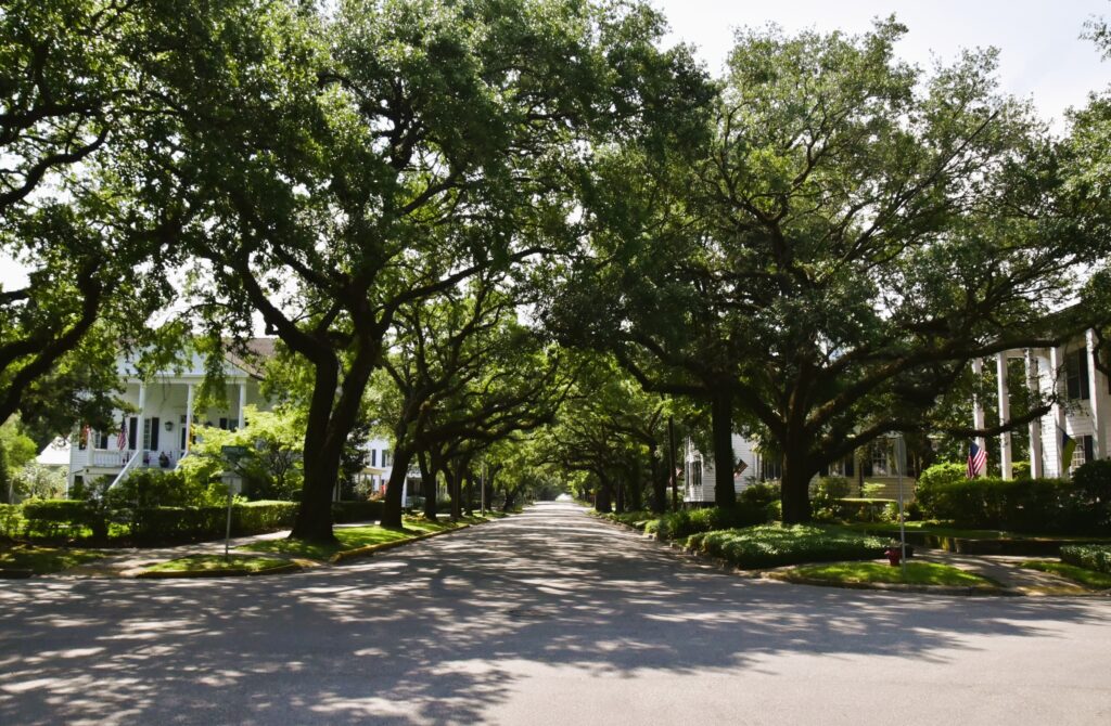 Tree-shaded streets of Historic Georgetown SC © Jo Clark