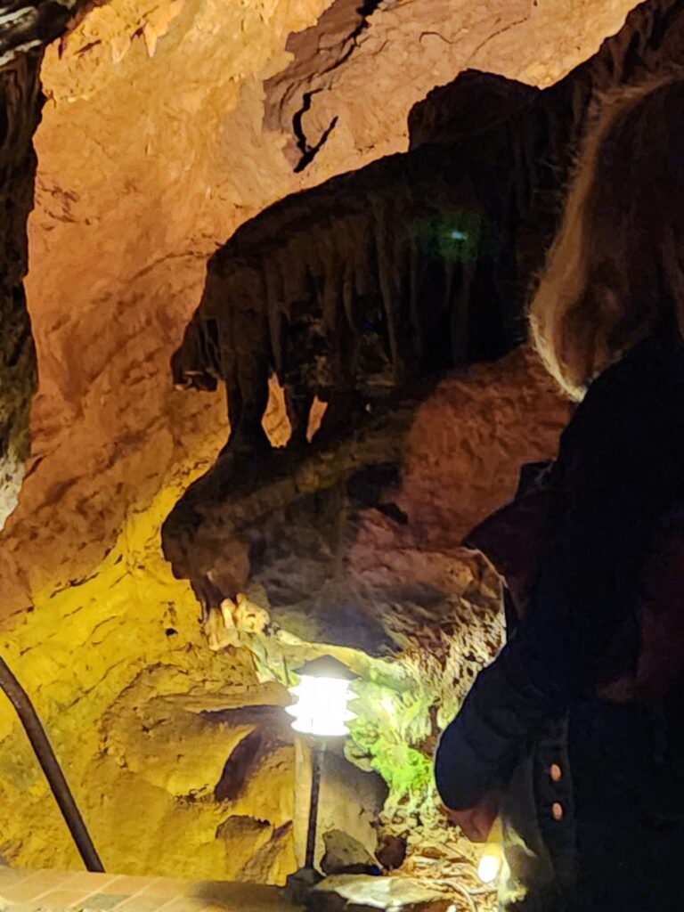 Stalagtites and stalagmites form a column that casts a shadow in the shape of a dinosaur in Roanoke's Dixie Caverns, unbelievably a place discovered by a dog!