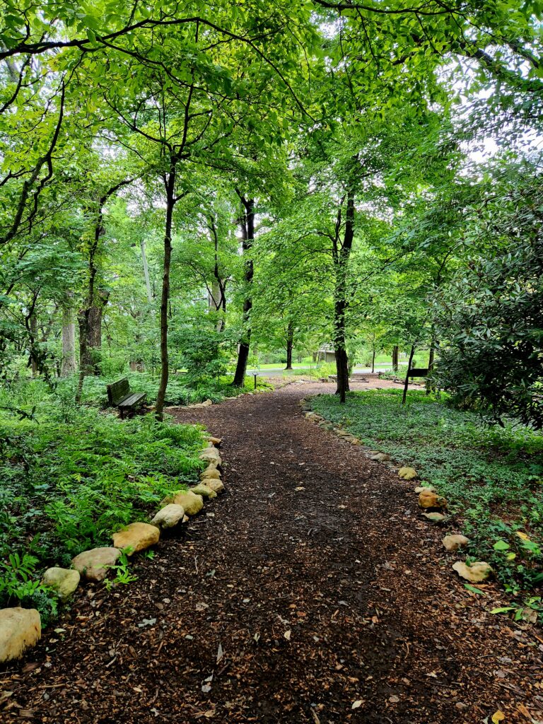 A woodland path, meandering through a wildflower garden above Roanoke.