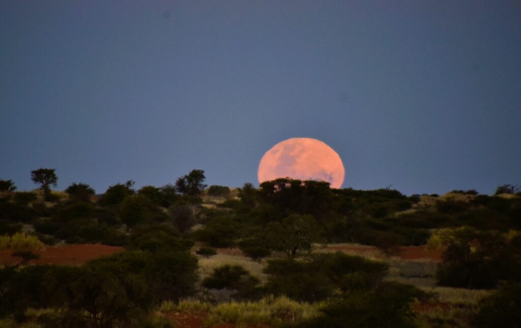 Full moon has an entirely new definition when you see it rising over the Kalahari brush!