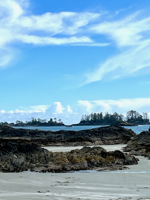 Long view of Chesterman Beach with rocky shoreline