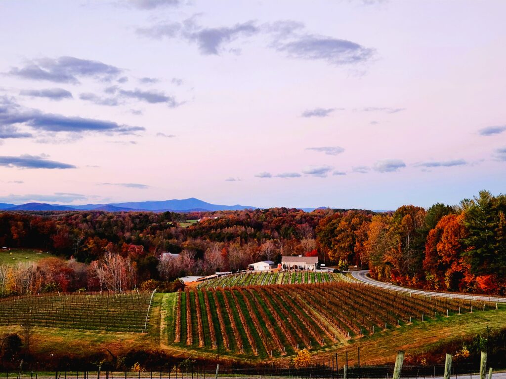 Yadkin Valley Wine Country is breathtaking, and spreads across the mountain tops, as the sun sets behind the Blue Ridge Mountains.