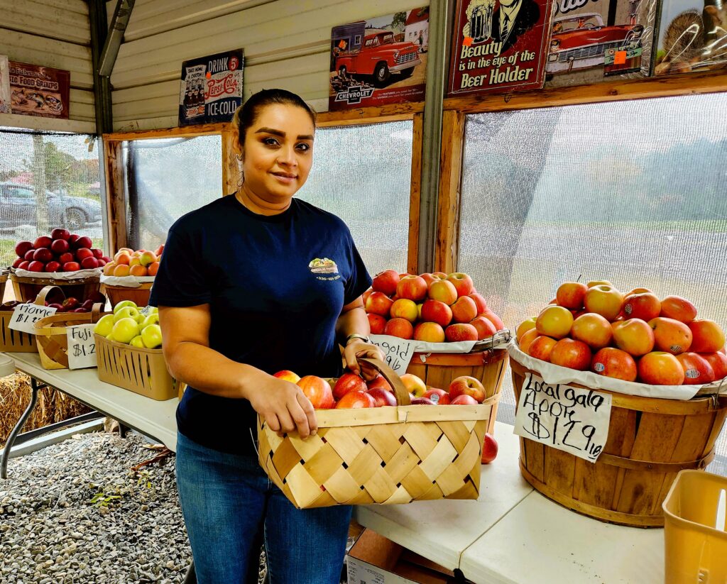 Owner at Gonzales' Produce stand, restocking apples for customers.
