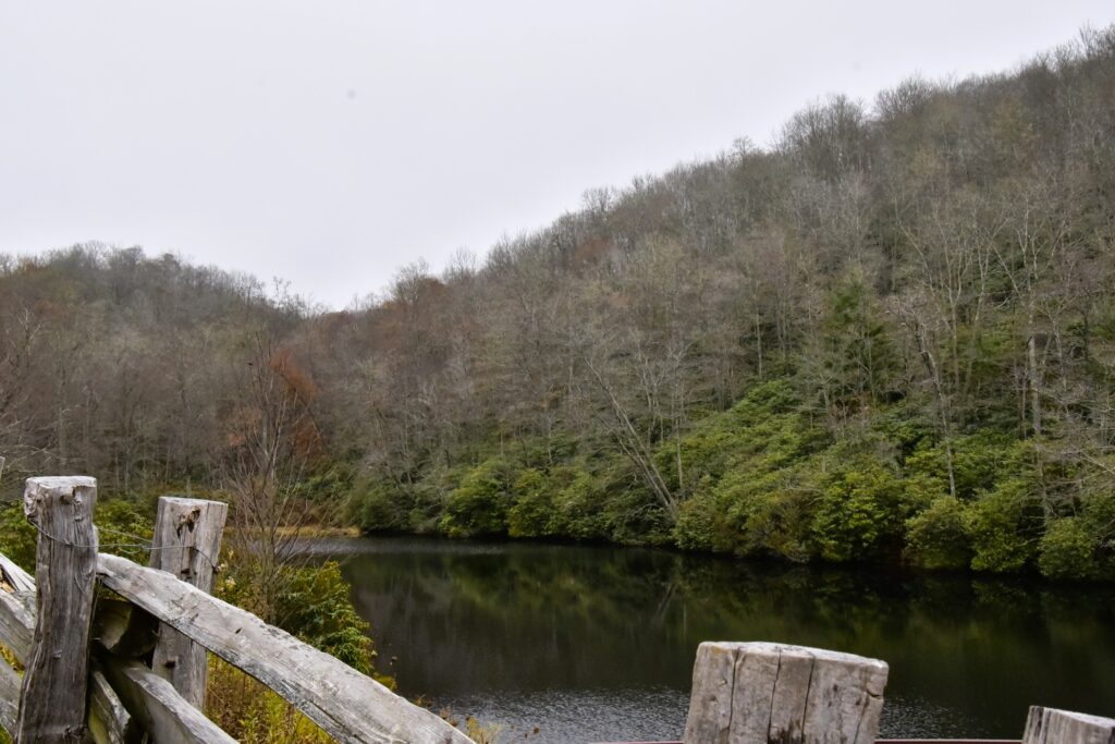 A trail winds beside the Yadkin River.