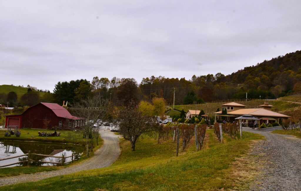 View of Linville Falls Vineyard from a distance, with the winery on the right and a red barn on the left beside a pond.