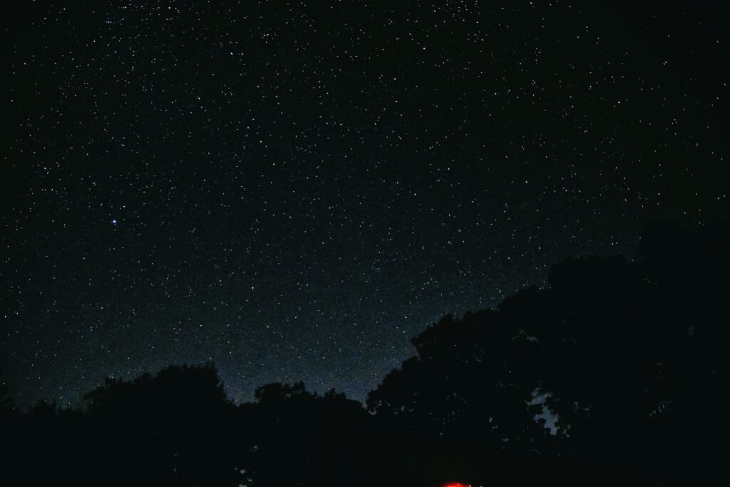 The stars coming out on an inky black night in Yadkin Valley Wine Country.