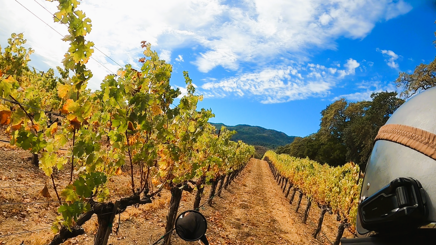 The Most Exciting Time In Sonoma (With Your Clothes On!) - Recipes Travel  Culture