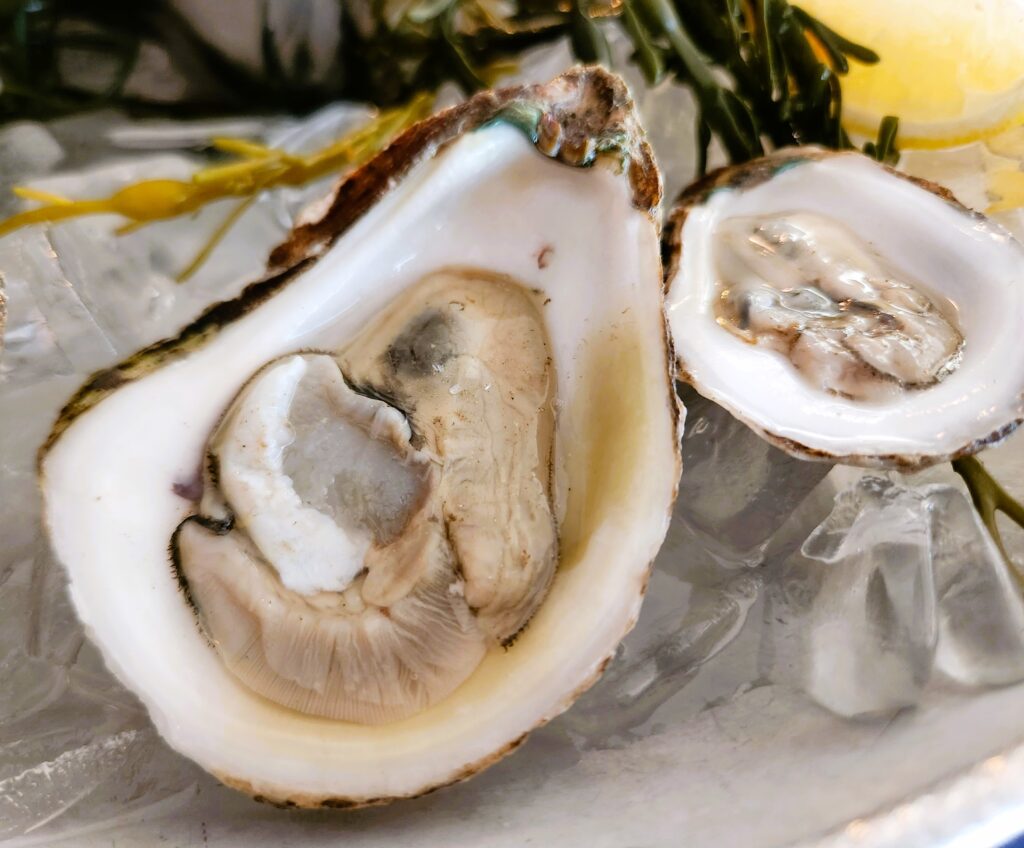 Two perfect oyster halves with plump oysters waiting to be devoured.