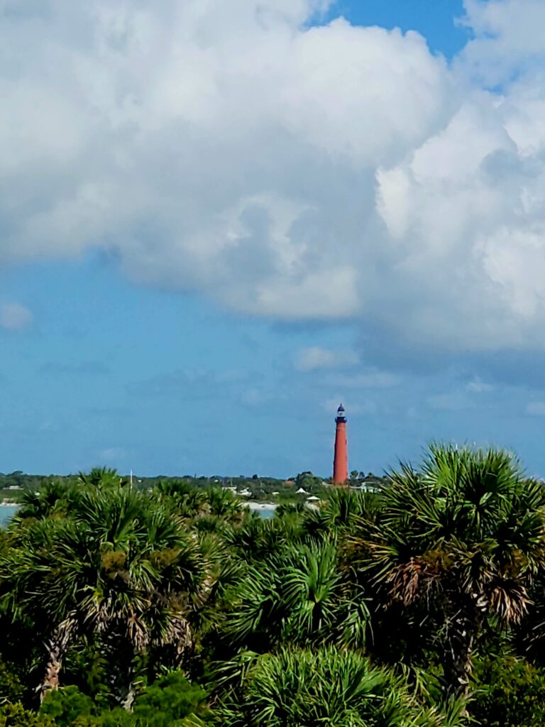 The view from an observation tower at Smyrna Dunes Park includes the red brick Ponce Inlet Lighthouse.