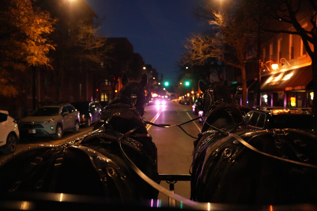 Dark street with lighted shops giving off a haunted vibe--taken from a horse-drawn carriage. 