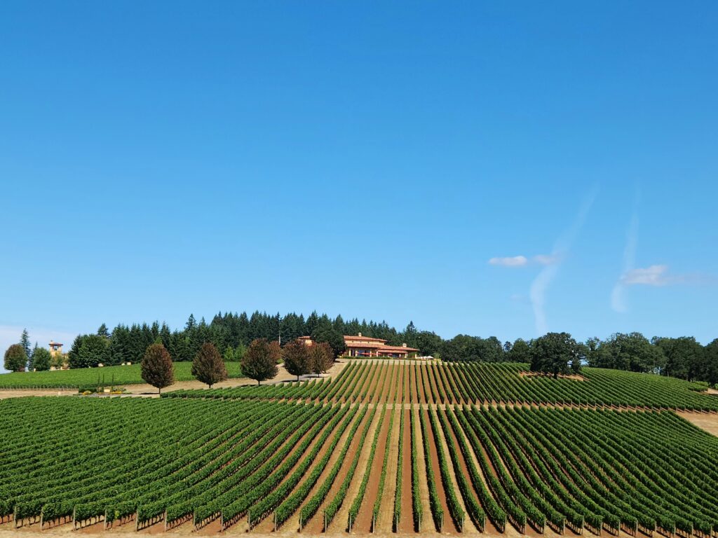 26 Sensational Must-Visit Oregon Wineries in the Willamette Valley 3 Acres of a Willamette Valley Vineyard as far as you can see, with a winery at the top of the incline.