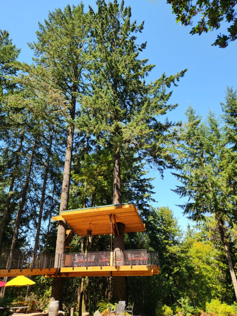 26 Sensational Must-Visit Oregon Wineries in the Willamette Valley 63