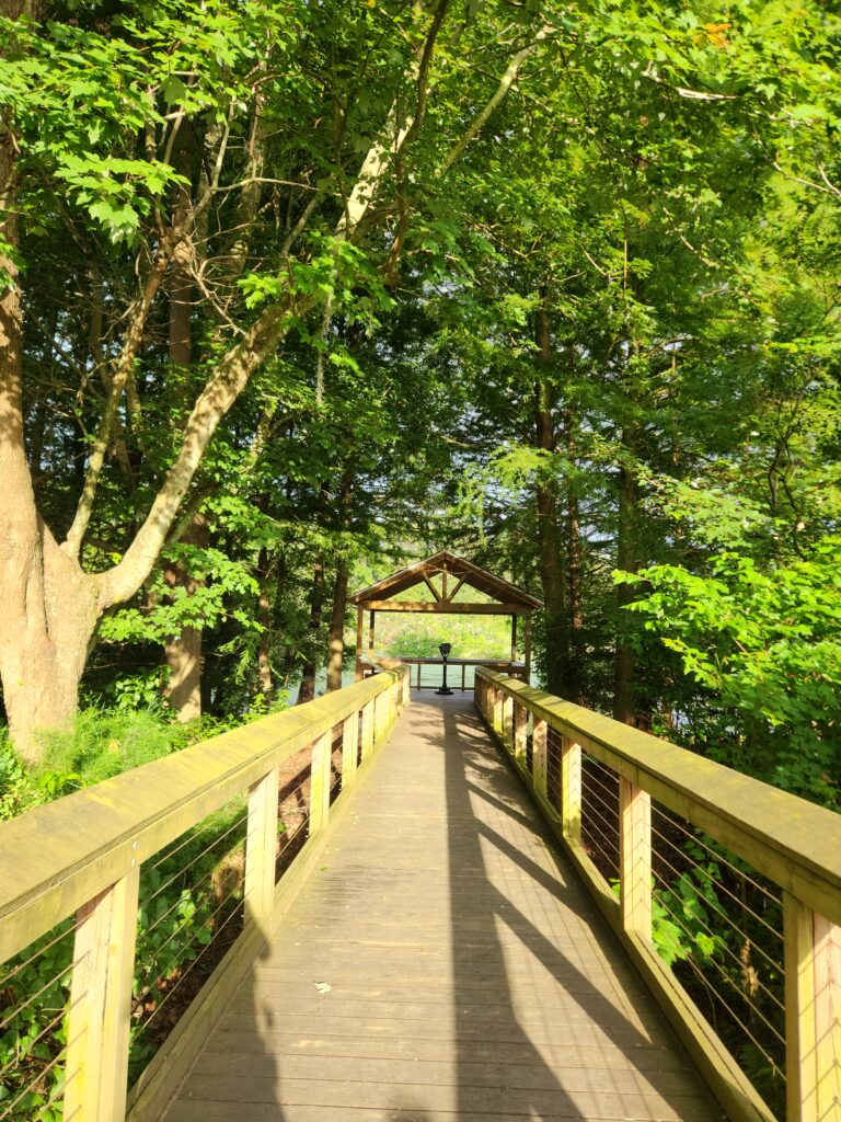 2 Islands, a Lighthouse, & Secret Magic of the Lowcountry 15