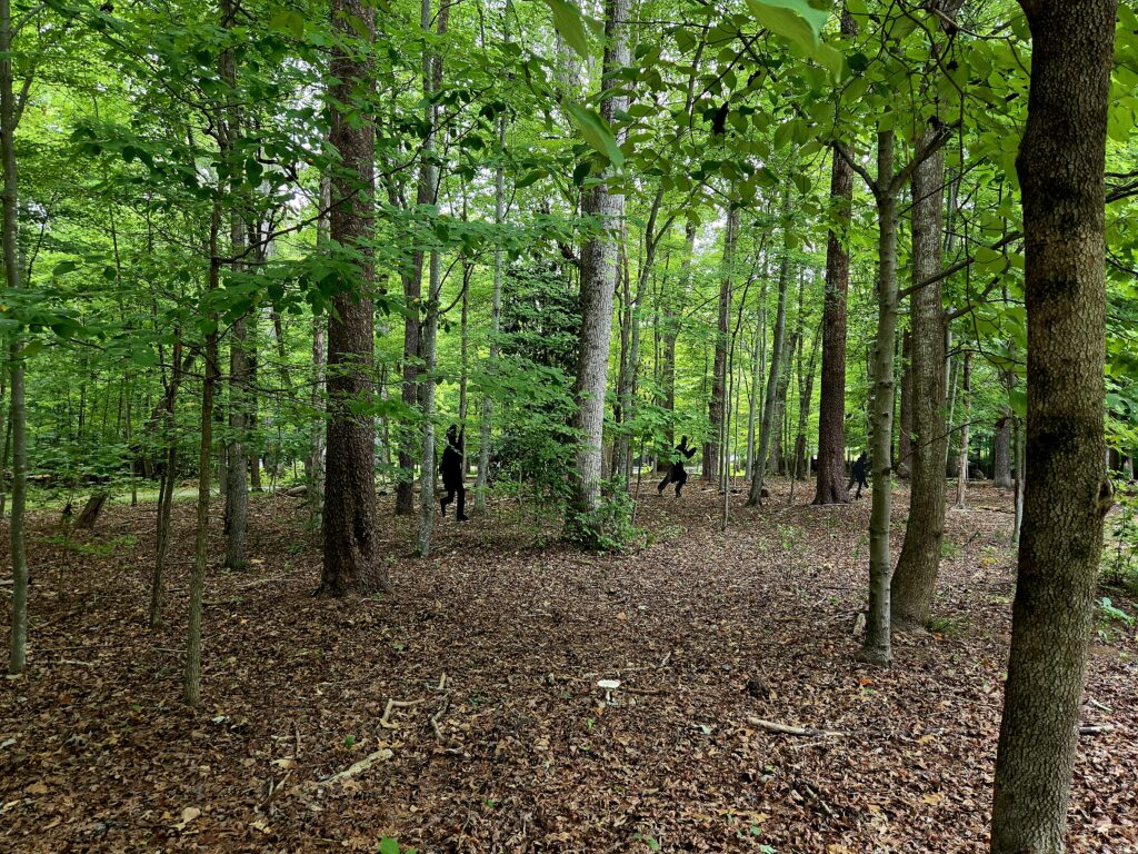 Greensboro: Big, Unexpected Adventures From 1781 Battlefield to Jeansboro 2 Walking a wooded trail in the battlefield, you spot black silhouettes of armed militiamen in the trees and bushes.
